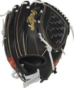 Rawlings Heart Of The Hide 12" PRO120SB-3BW